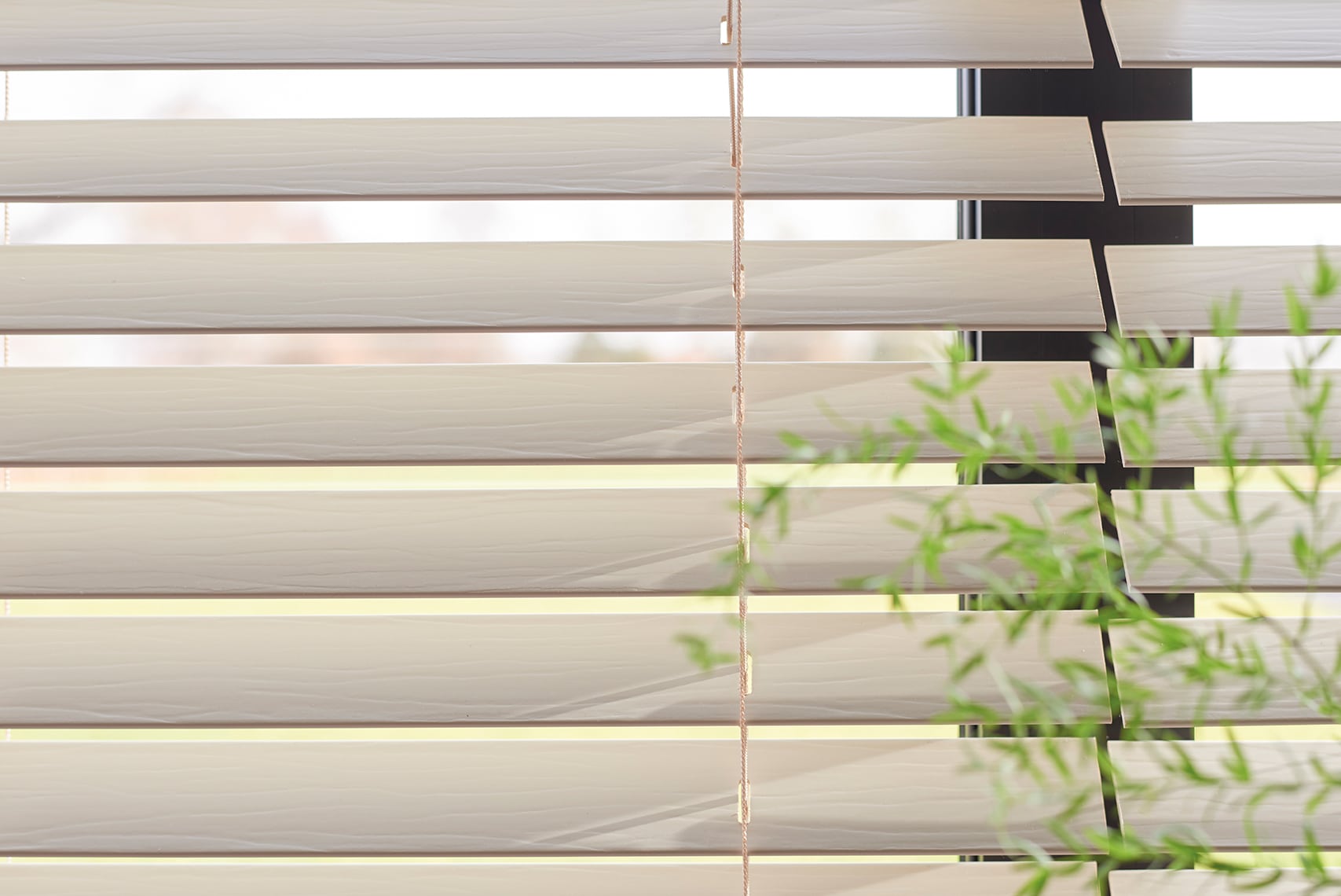 Hunter douglas
