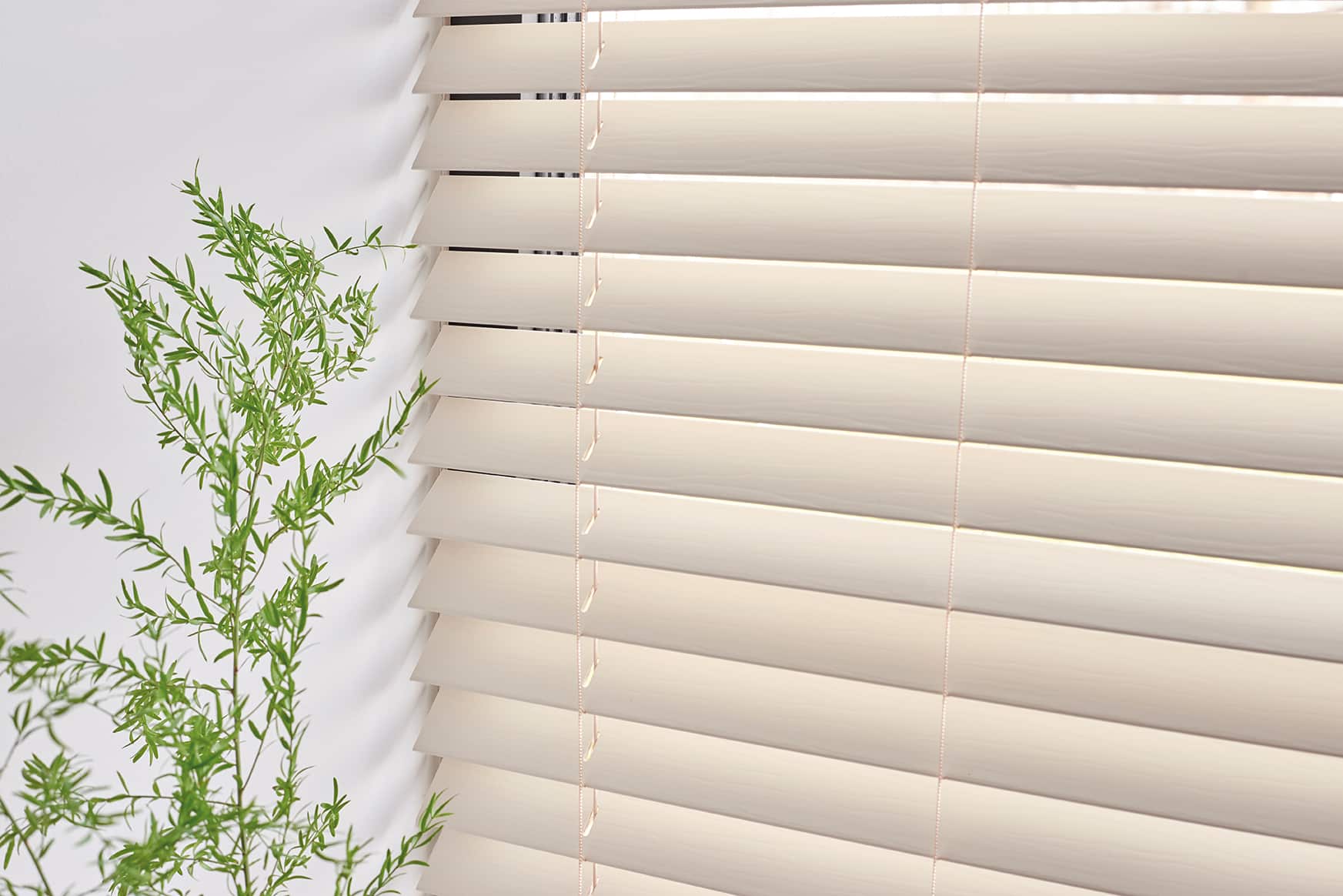 Hunter douglas